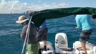 30 Second Fish Catching Challenge - Miami, Florida