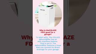 The COLAZE FD01 30 Pints Dehumidifier Review #shorts