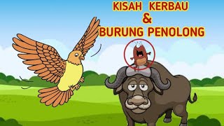 KISAH KERBAU DAN BURUNG || DONGENG ANAK-ANAK