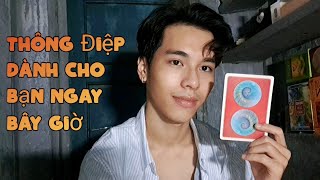 Thông Điệp Dành Cho Bạn Ngay Bây Giờ - Chọn 1 tụ bài Tarot