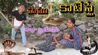 పాము కాటువస్తే / pamu katuveste / Emotional Short Film / Radha Videos / Kittu / Maa Village Show