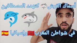 ظهور سمك القرش 🦈والأوركا 🐬 بشواطئ المغرب 🇲🇦 وإسبانيا 🇪🇦 يقلق المصطافين خلال الصيف 😱