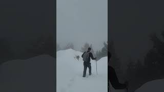 05 Ferb 2024 mountain climbing Dainkud Peak snow Trekking contact  8219747425  #dalhousie #snowfall