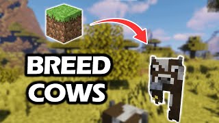 How To Breed Cows In Minecraft | Animal Breed Tutorial ( full guide)