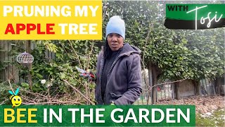 How To Prune Apple Trees Step-By-Step In 2021 | Beginner Friendly | Winter Edition