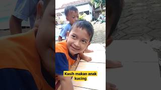 Kasih makan anak kucing lucu