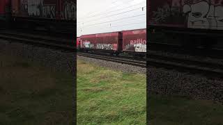 DB Vectron in Parndorf #zugfahrt #train #trainspotting