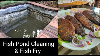 Fish Pond Cleaning | Fish Fry | Tilapia | Nutter | After one year | KA Vlogs