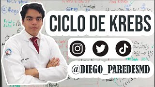 Ciclo de Krebs - BIOQUÍMICA