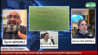 Düşen küpe ve Tarsim Sigorta Zorunluluğu