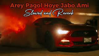 Arey Pagol Hoye Jabo Ami (slowed and reverb) #slowedandreverb #slowedreverb