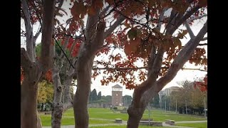 L'autunno colora il Parco Della Resistenza