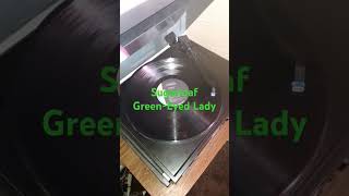 Sugarloaf - Green-Eyed Lady (1970)