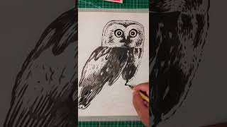 Owl looking - Illustration on Drawing Paper