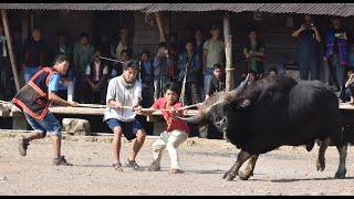 UNYING ARAN FESTIVAL 2021 OF ADI TRIBE AT PARONG VILLAGE, BOLENG, ARUNACHAL PRADESH.