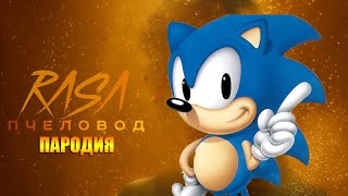 Песня СОНИК / SONIC Клип / RASA - Пчеловод пародия