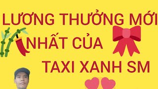 Lương thưởng mới nhất của tài xế taxi xanh SM