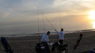 ÚLTIMA pesca del AÑO (CAPTURA GORDA AL VIVO) SURFCASTING GRANADA