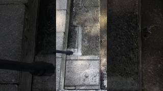 Satisfying Pressure Washing Pavers | Cleaning Moldy Pavers | #diy