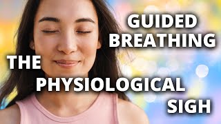 The Physiological Sigh | Guided Breathing Meditation | Reduce Stress and Anxiety