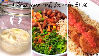 3 cheap vegan meals for under £1 .50 (Day 2)