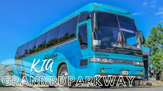 KIA GRANBIRD PARKWAY Transportes Arguedas | Buses PZ