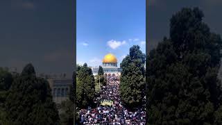 Amazing 23rd Ramadan Jummah in Aqsa #alquds #jerusalem #masjid  #islam #ramadan2023 #القدس