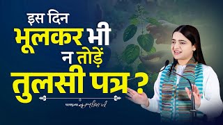 इस दिन भूलकर भी न तोड़ें तुलसी पत्र ? Pujya Krishnapriya Ji