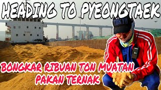 Import Pakan ternak Dedak dari China menuju Korea.