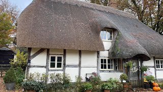 English cottage shared her November cottage garden