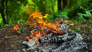 🔥 Soothing Campfire & Nature Sounds in 4K | Relaxing Fireplace Ambience for Meditation & Sleep