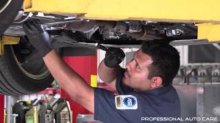 Professional Auto Care Houston Texas