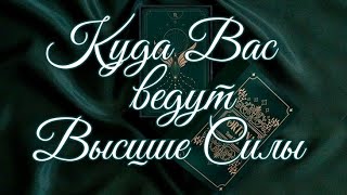 🌿 КУДА ВАС ВЕДУТ ВЫСШИЕ СИЛЫ 🌿