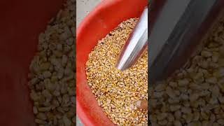 All types of Grain grinding machine like Wheat, Maize, Pulses, Rice & Spices