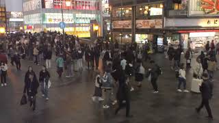 2024/11/7 大阪道頓堀ライブカメラ