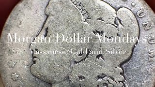 RAW COINS - CIRCULATED SILVER DOLLARS - “MORGAN DOLLAR MONDAYS” with MASSABESIC GOLD and SILVER