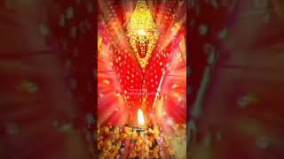 Jay Ashapura Maa 🙏🏻 Aarti.#shorts #jai #maa #ashapura #viral #shortvideo #video #aarti #short