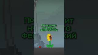 Пов: подсолнух | Melon playground