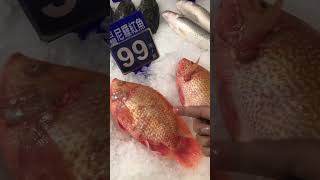 Gold Fish #youtubeshorts #shortsviral #taiwanfood