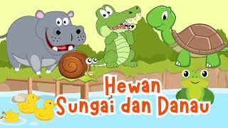 Dunia Hewan Air: Mengenal Nama Hewan di Sungai dan Danau | Hewan Air Tawar