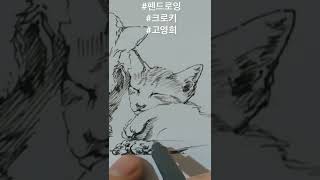 #펜화 #고양이 #박태경미술교실