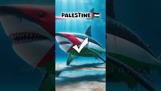 muslim 🆚non muslim country sharks 🕋🧕🕌#shorts #اكسبلور #islam #islamic #viral #islamicvideo #naat