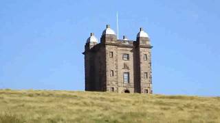 Red Stag herd at Lyme Park