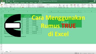 Cara Menggunakan Rumus TRUE di Excel - Compute Expert