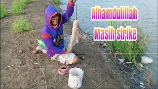 Mantap Banget Mancing Di Sungai Ini Baru Di Lempar langsung Di Sambar