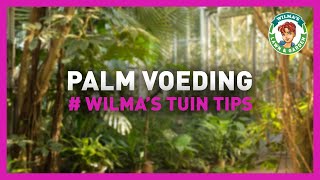 Wilma's Lawn & Garden - Palmvoeding