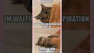 CAT MEMES to make ur day                                          #cat  #catmemes #catlover