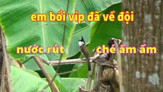 em bổi siêu víp đã về đội - nước rút ché ầm ầm ( phần cuối )