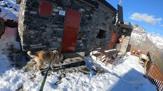 Dog trekking Rifugio Del Grande e  Camerini con il cane Ottobre 2020