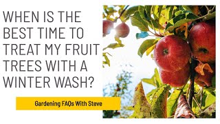 When is the best time to treat my fruit trees with a winter wash?